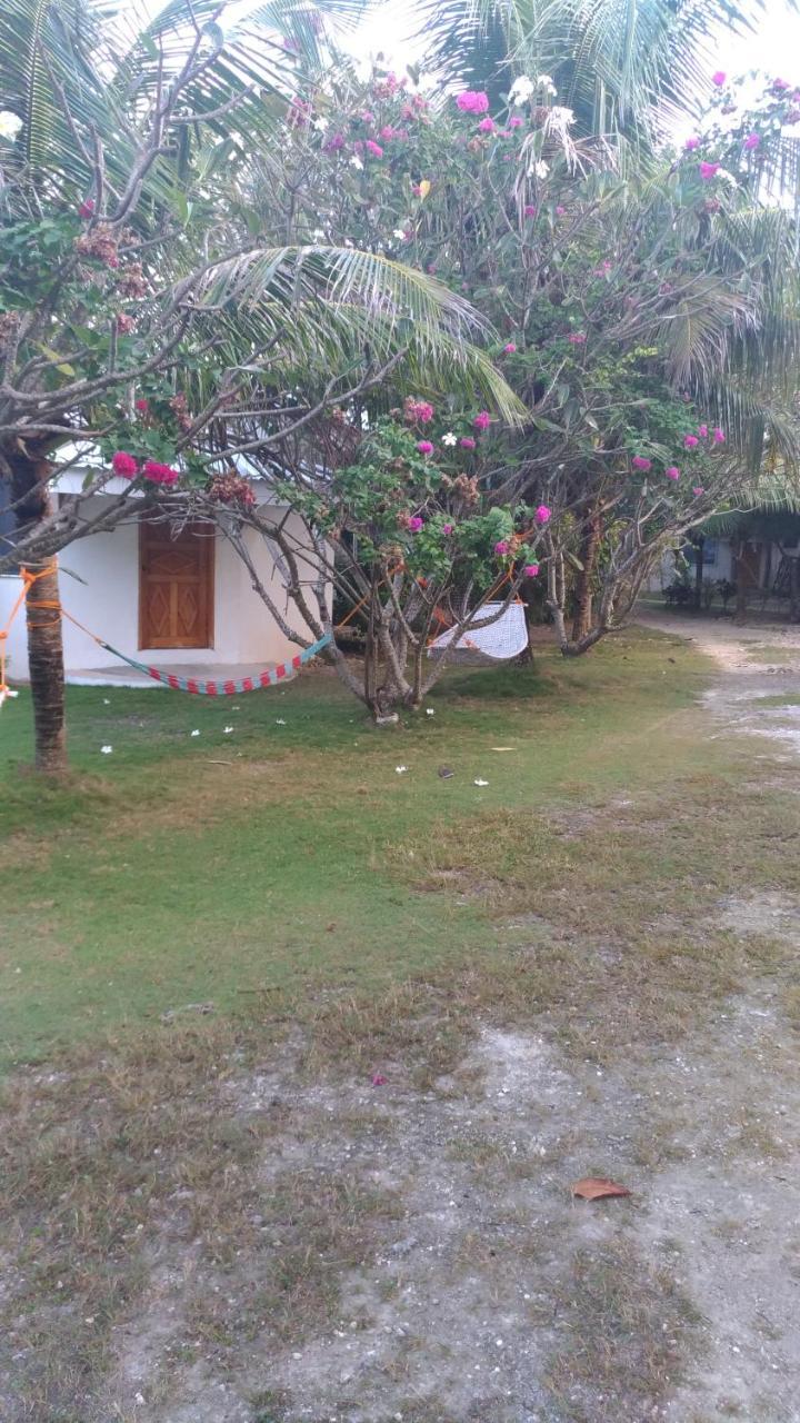 John Lhea Beach Cottages Siquijor Dış mekan fotoğraf